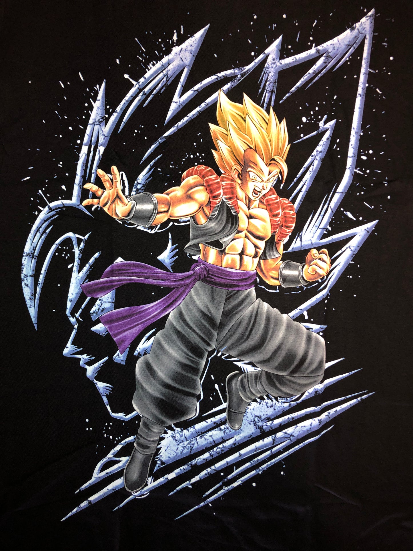 ANI14 - Vegito - Silver Surfer
