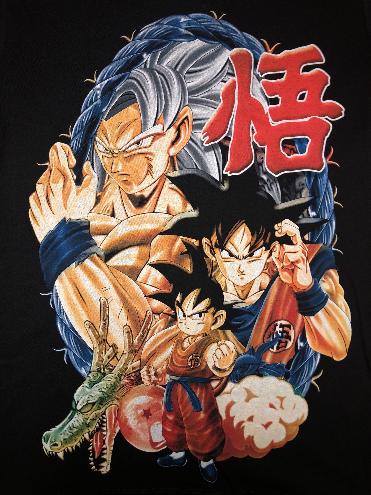 ANI22 - Vegito