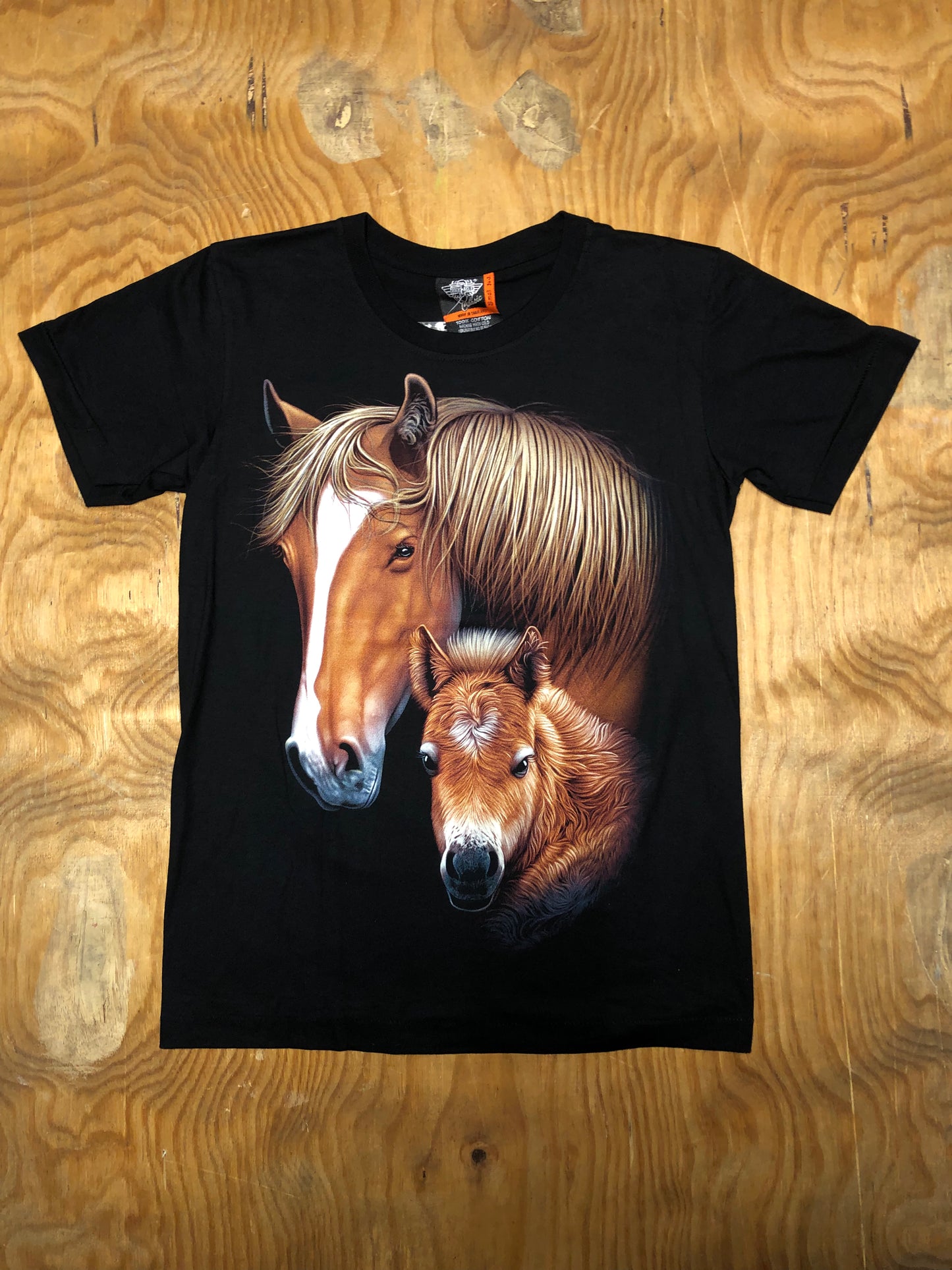 HOR04 - Horse - Mother And Foal