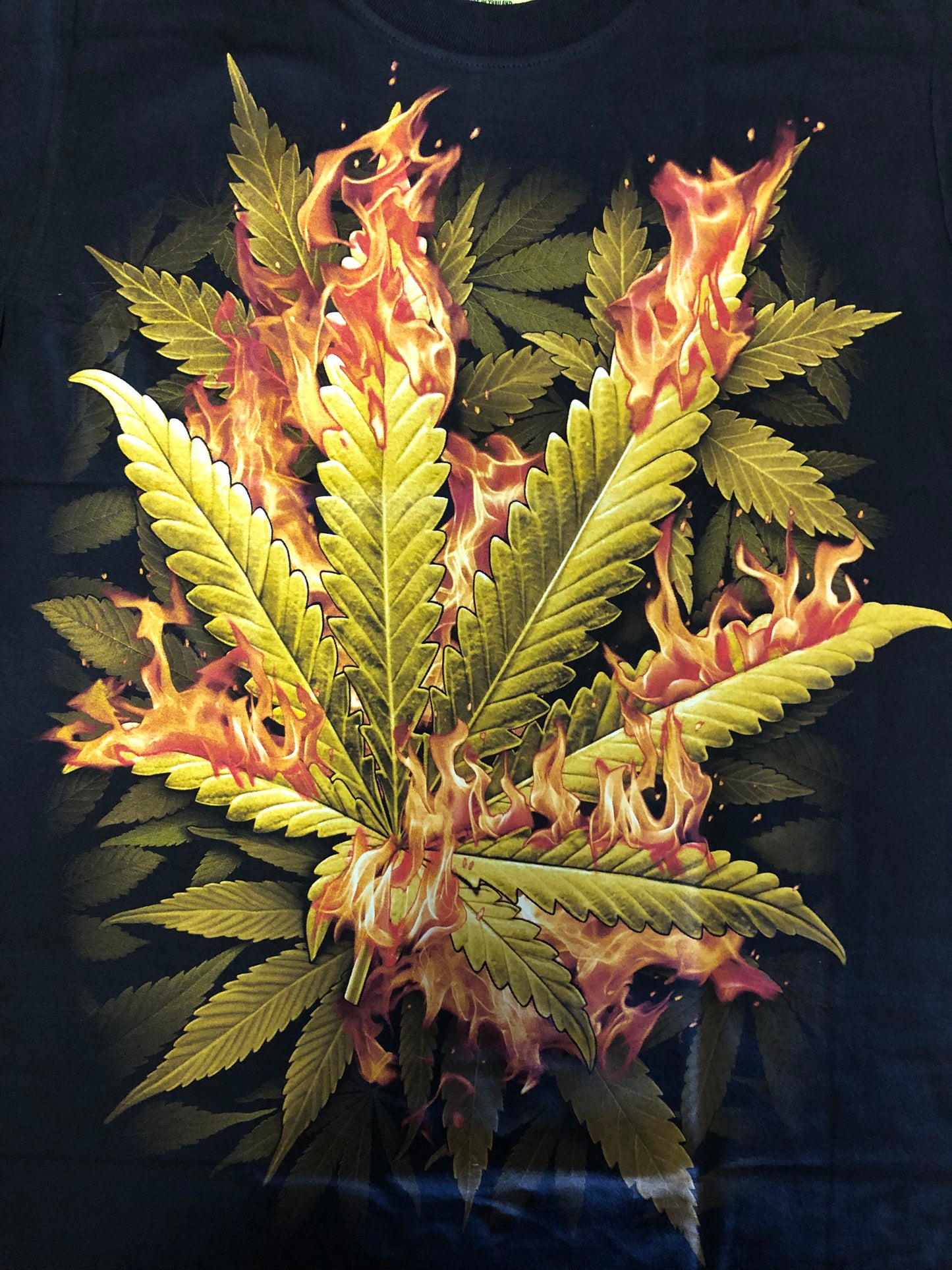 RAS07 - Flaming Leaves