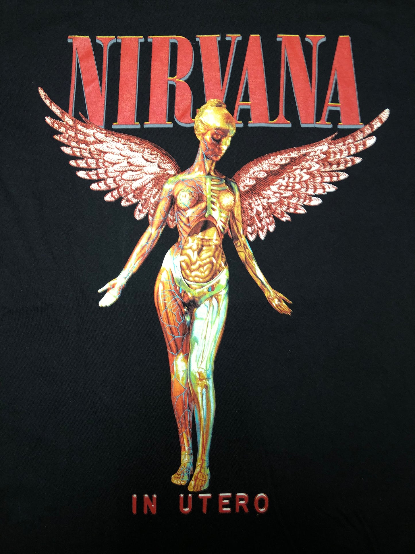 RCK293 - Nirvana - In Utero