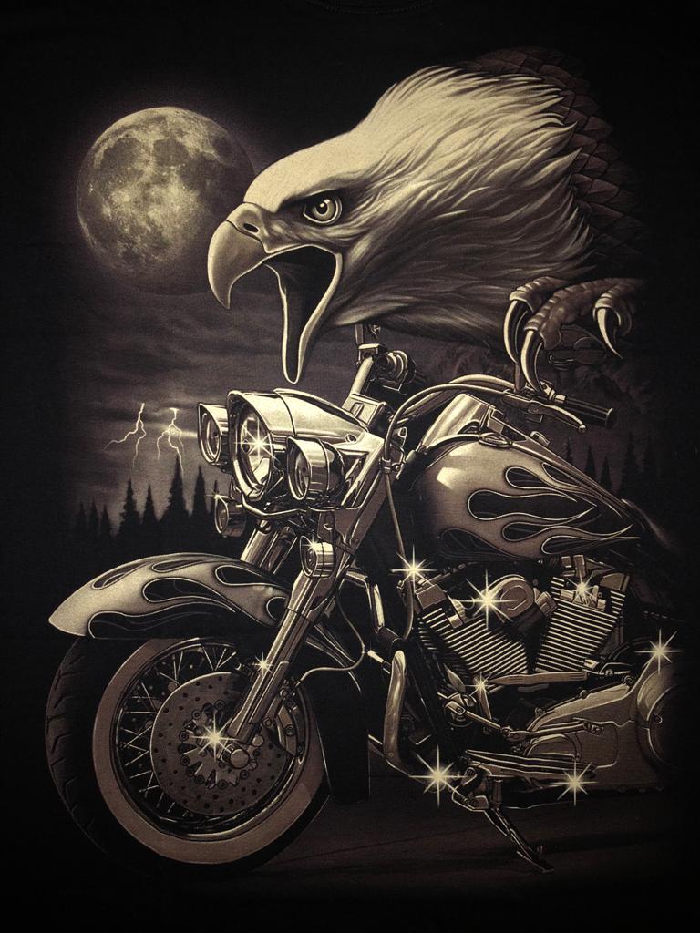 SK28 - Eagle - Moon And Bike (Left)
