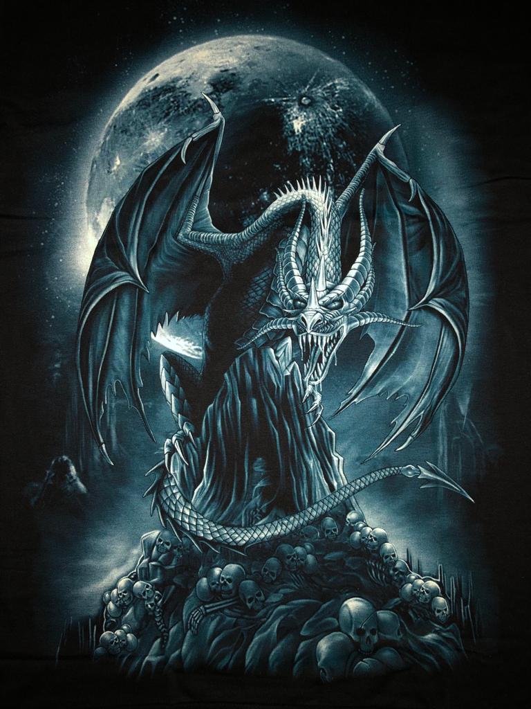 Dragon T-shirt - Moon And Skulls- NO60 Secondary image