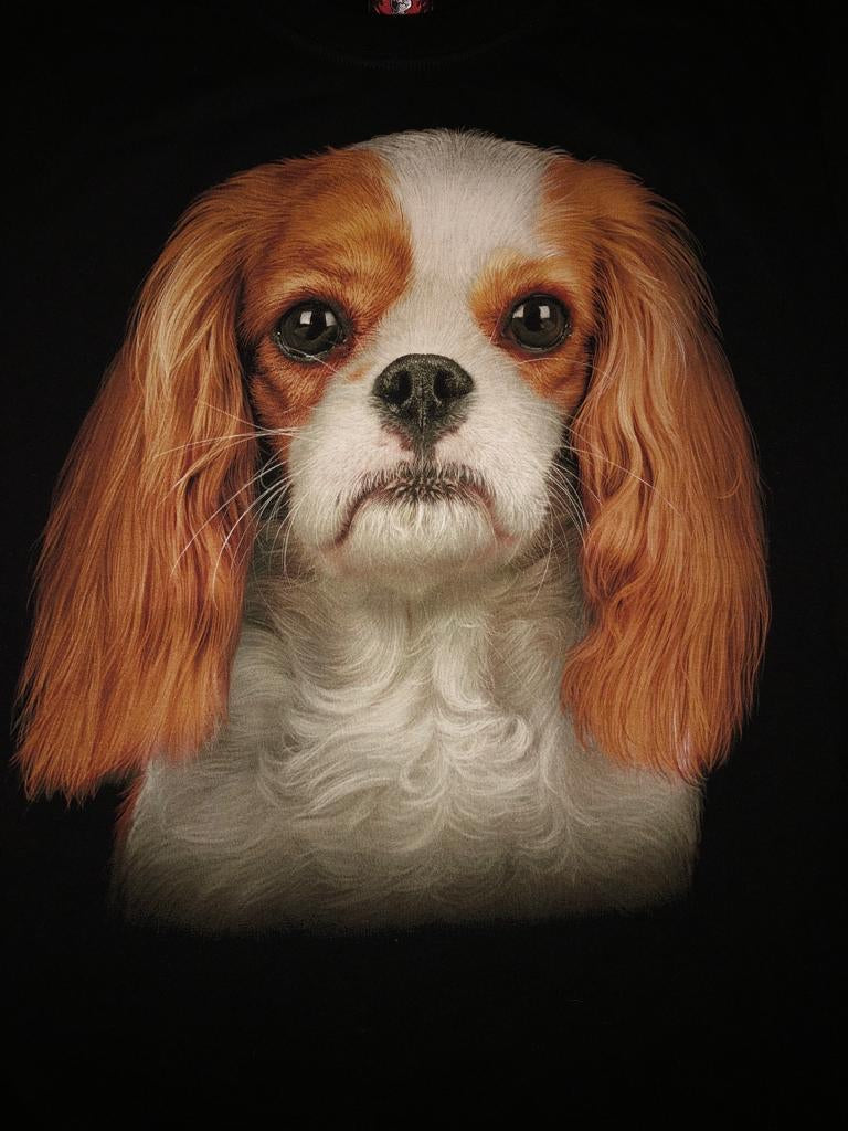 DOG02 - King Charles Spaniel