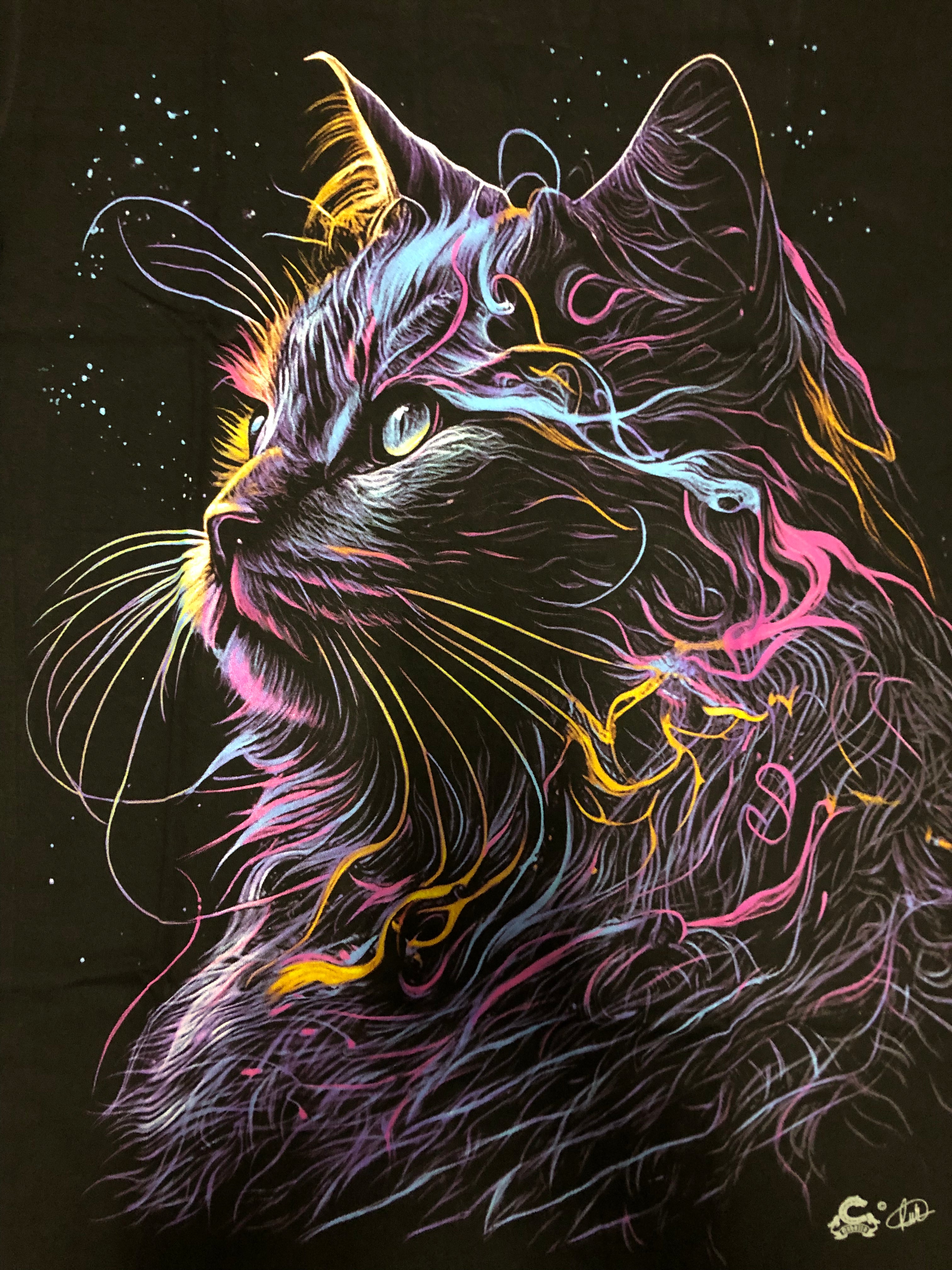 Cat T-shirt - Lazer - CAT08 Secondary image