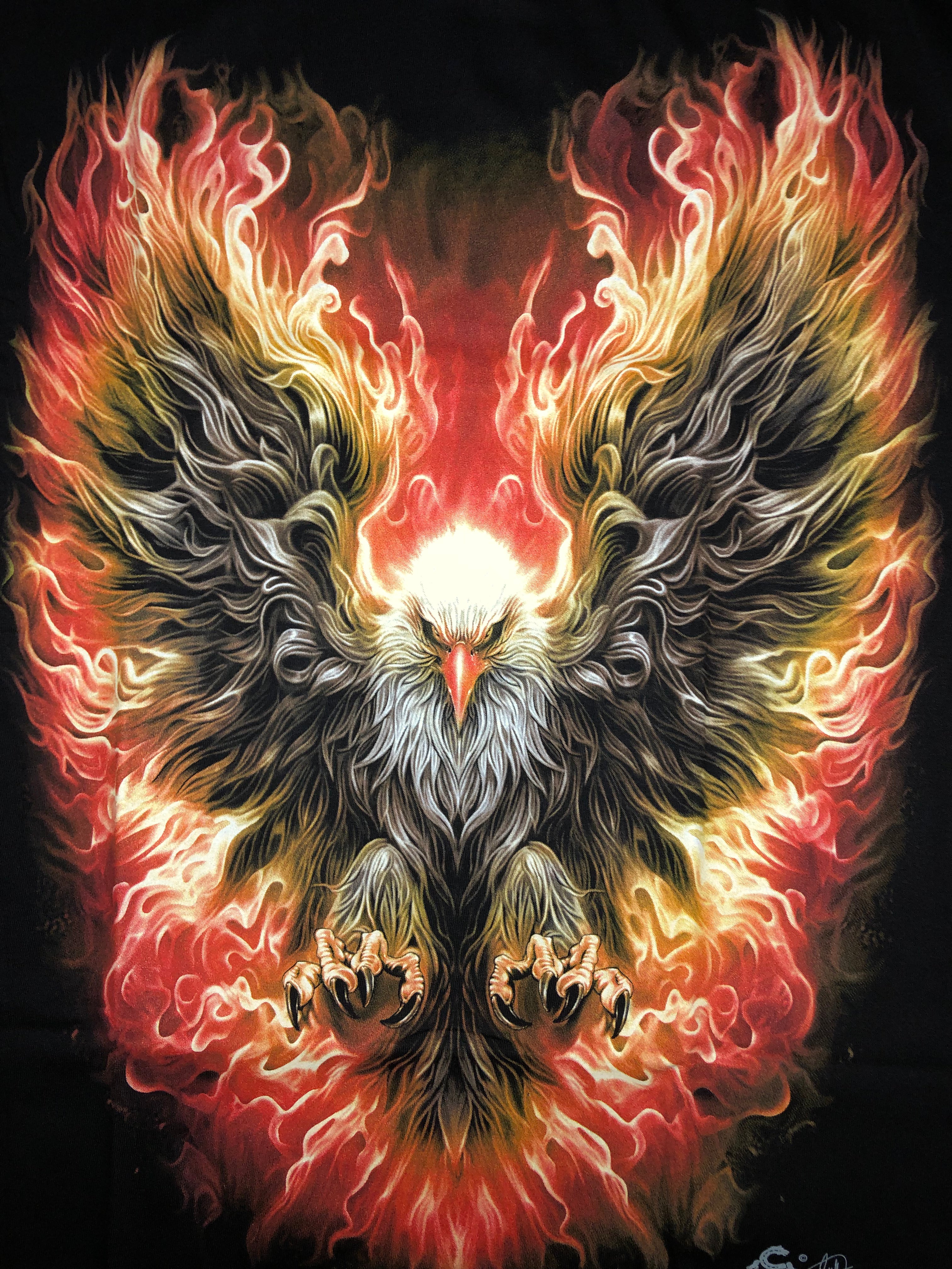 Eagle T-shirt - Flaming - Secondary image