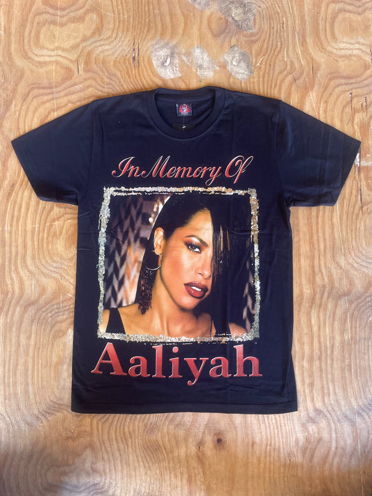 HH23 - Aaliyah - Memory