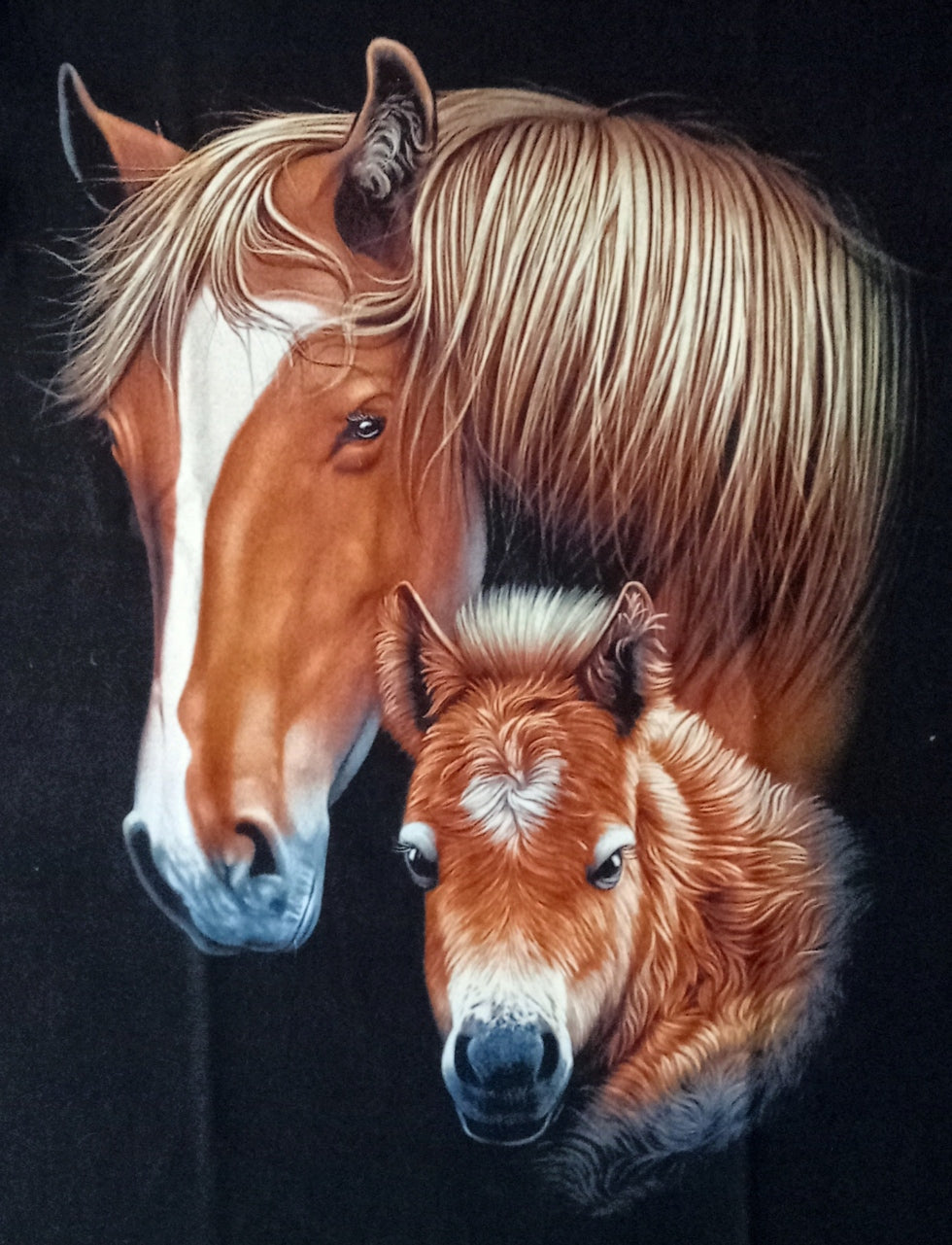 Horse - Mother And Foal
