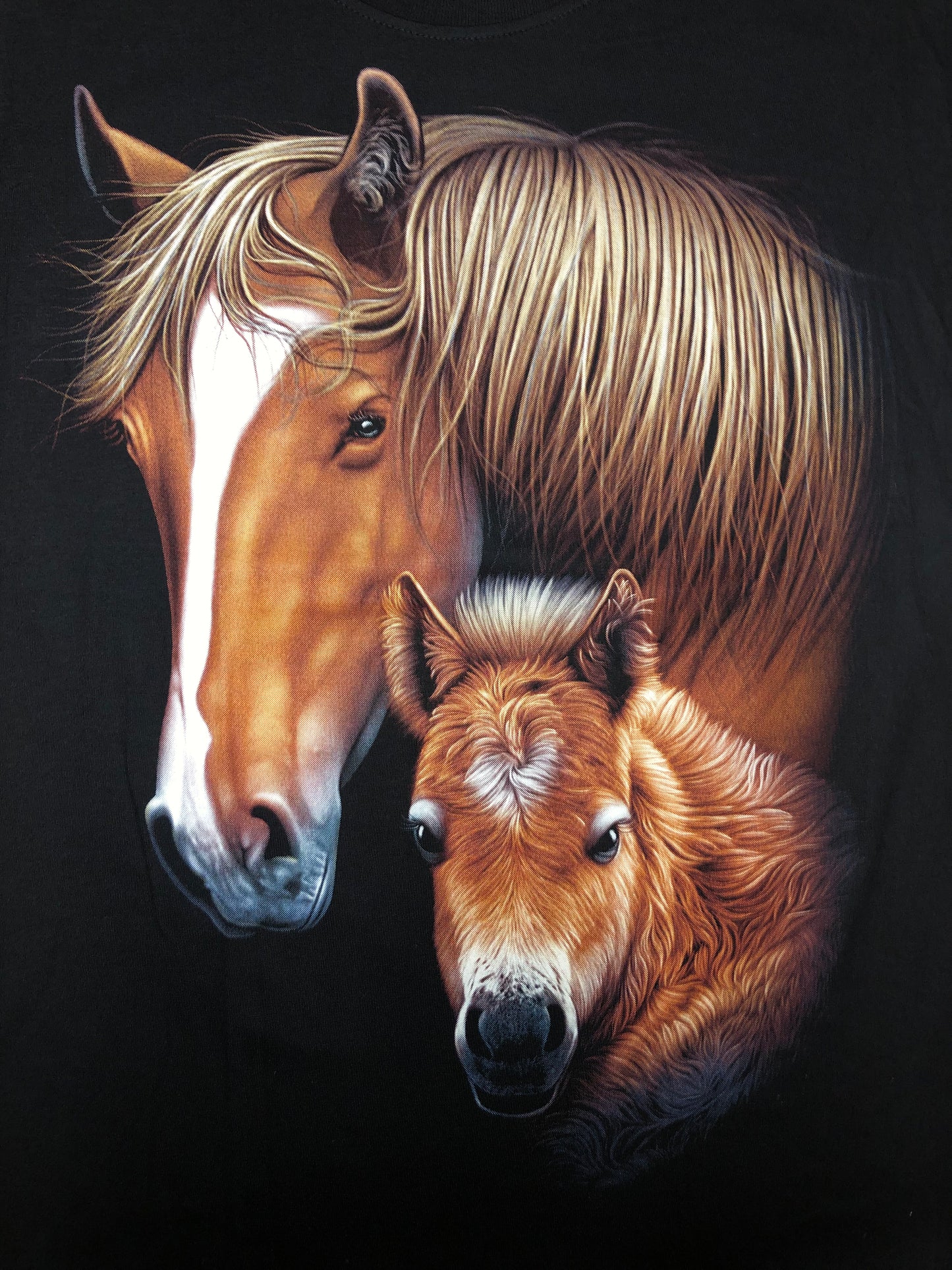 HOR04 - Horse - Mother And Foal