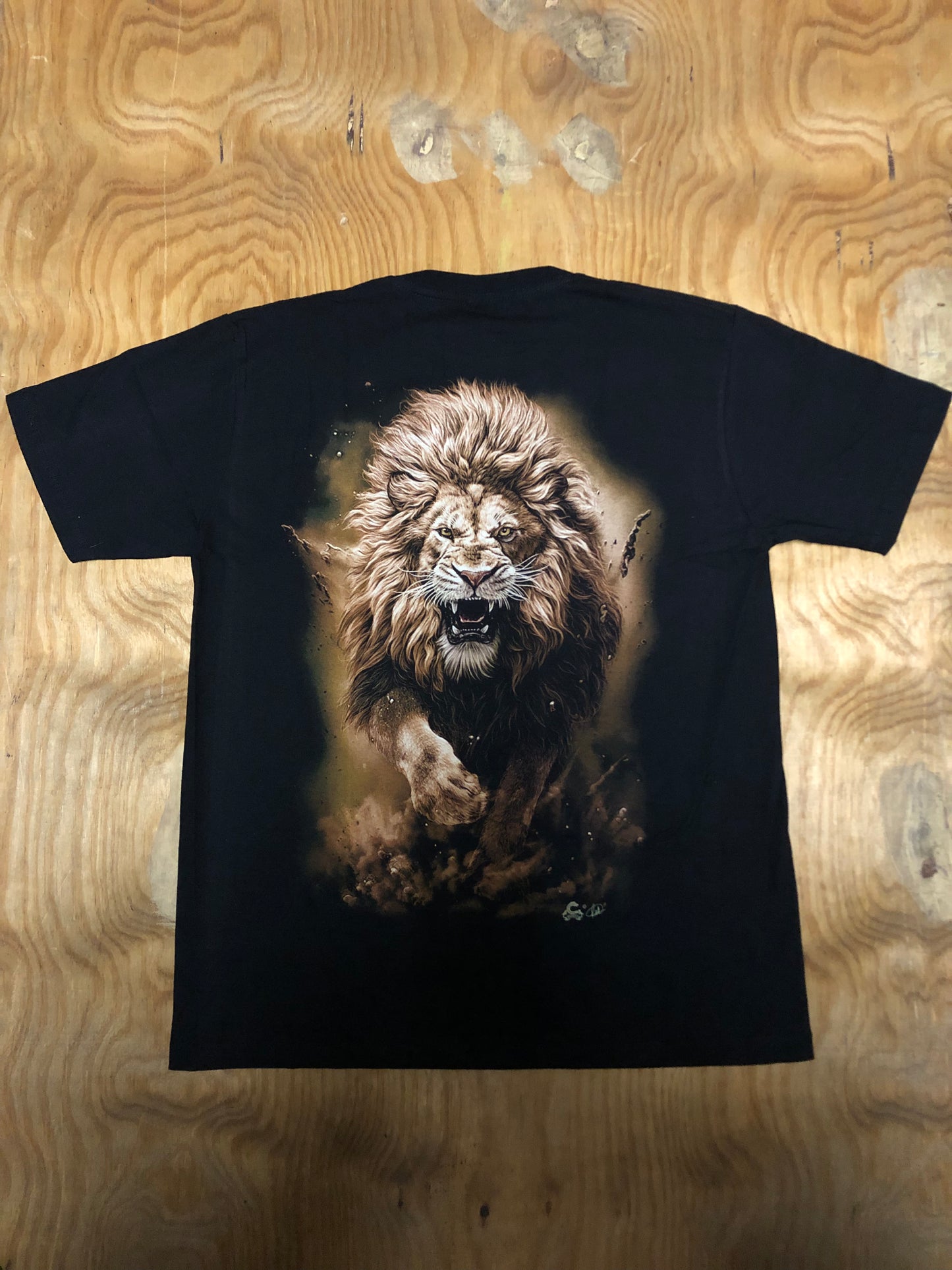 LIO01 - Lion