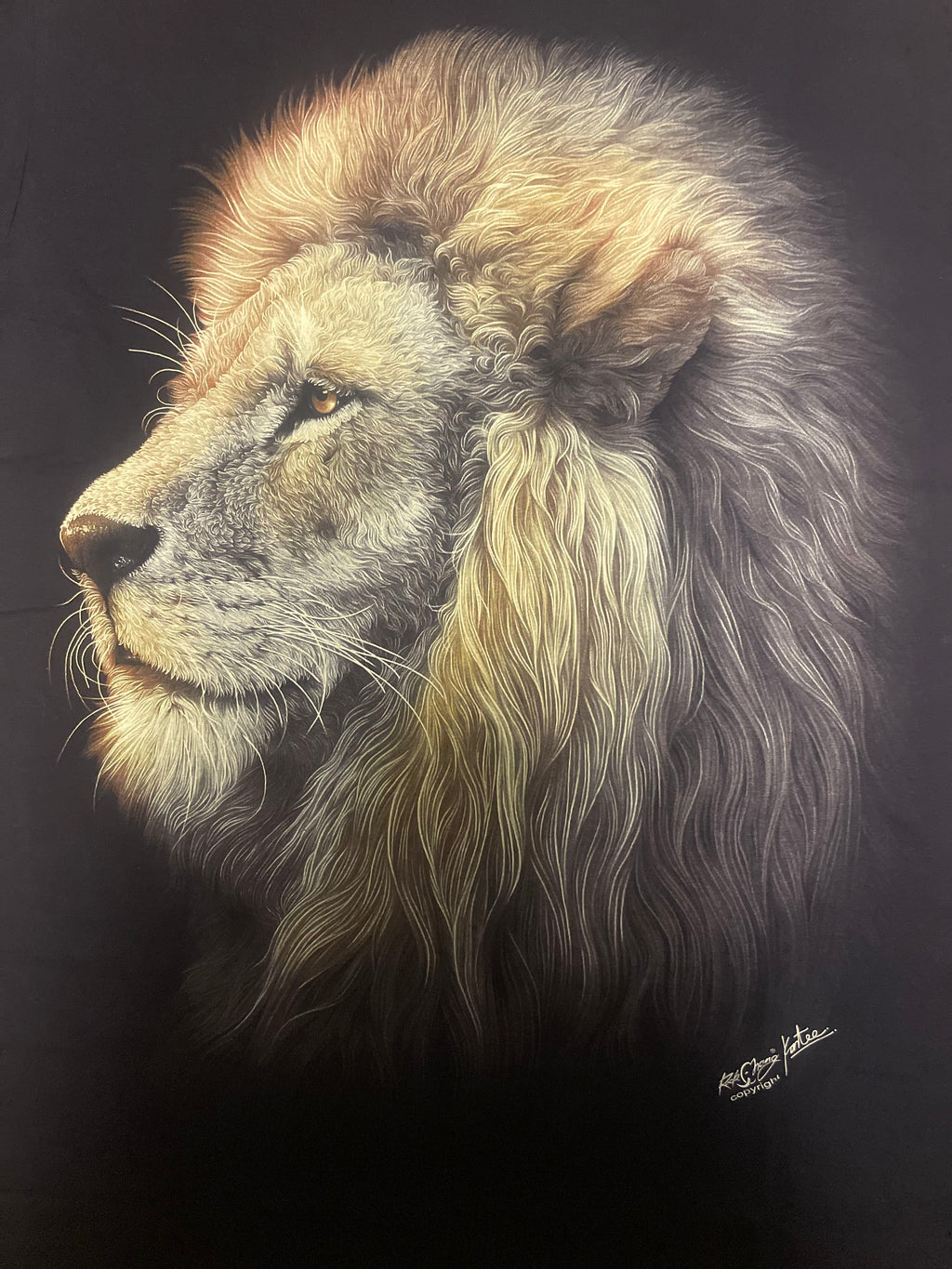 Lion t-shirt - Profile - LIO04