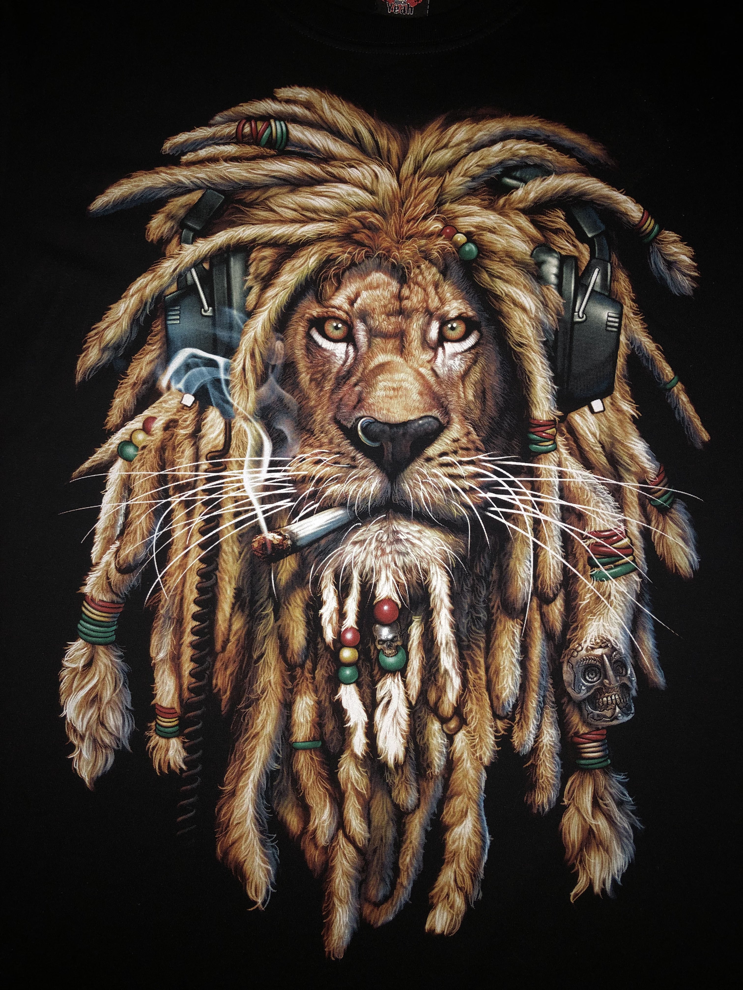 Lion - Rasta Secondary image