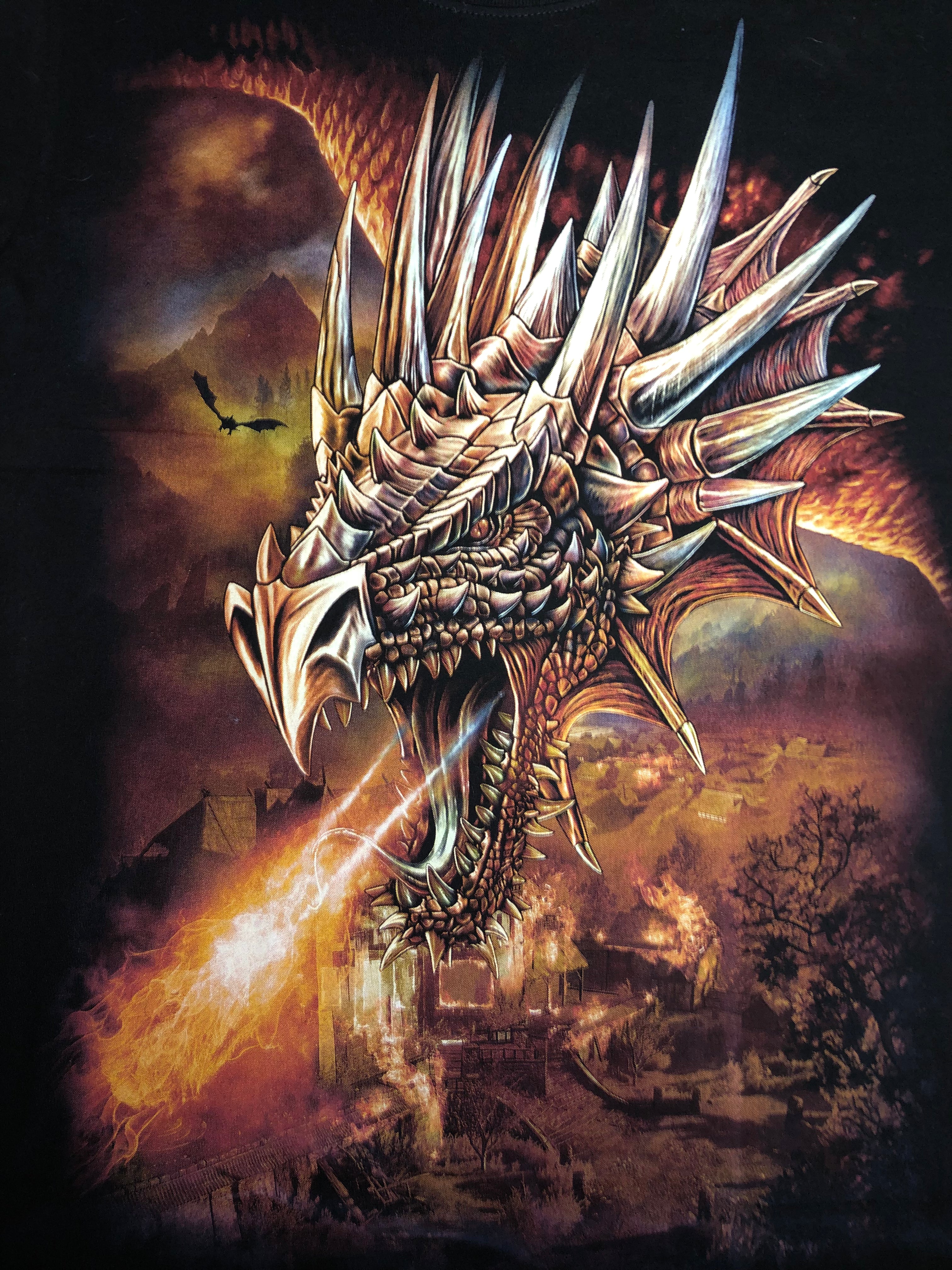 Dragon T-shirt - Flying Fire - NO47 Secondary image