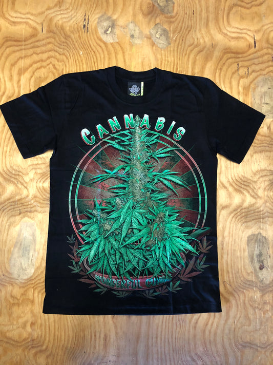RAS03 - Cannabis Tree