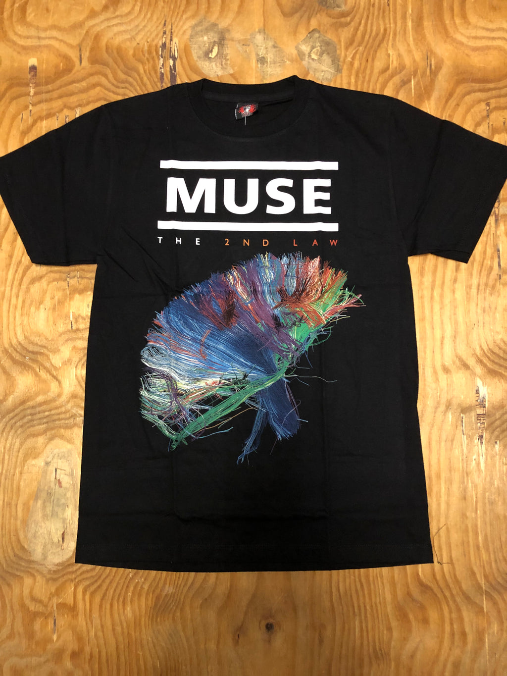 Muse
