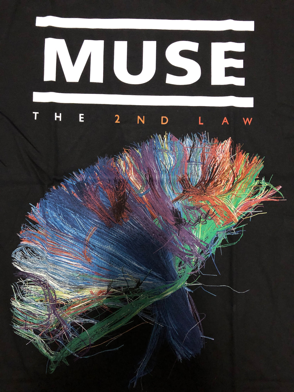 Muse