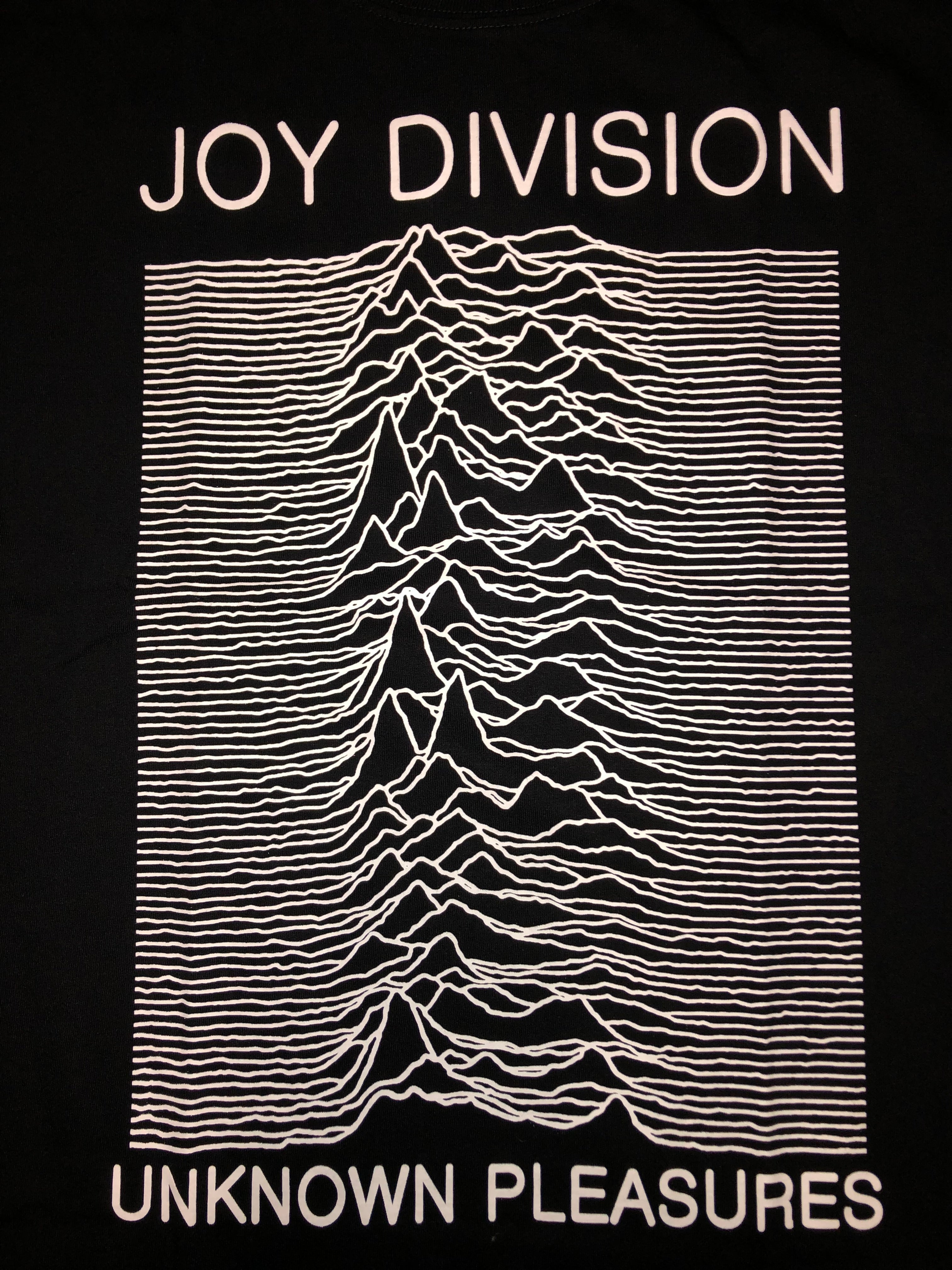 Joy Division - RCK480