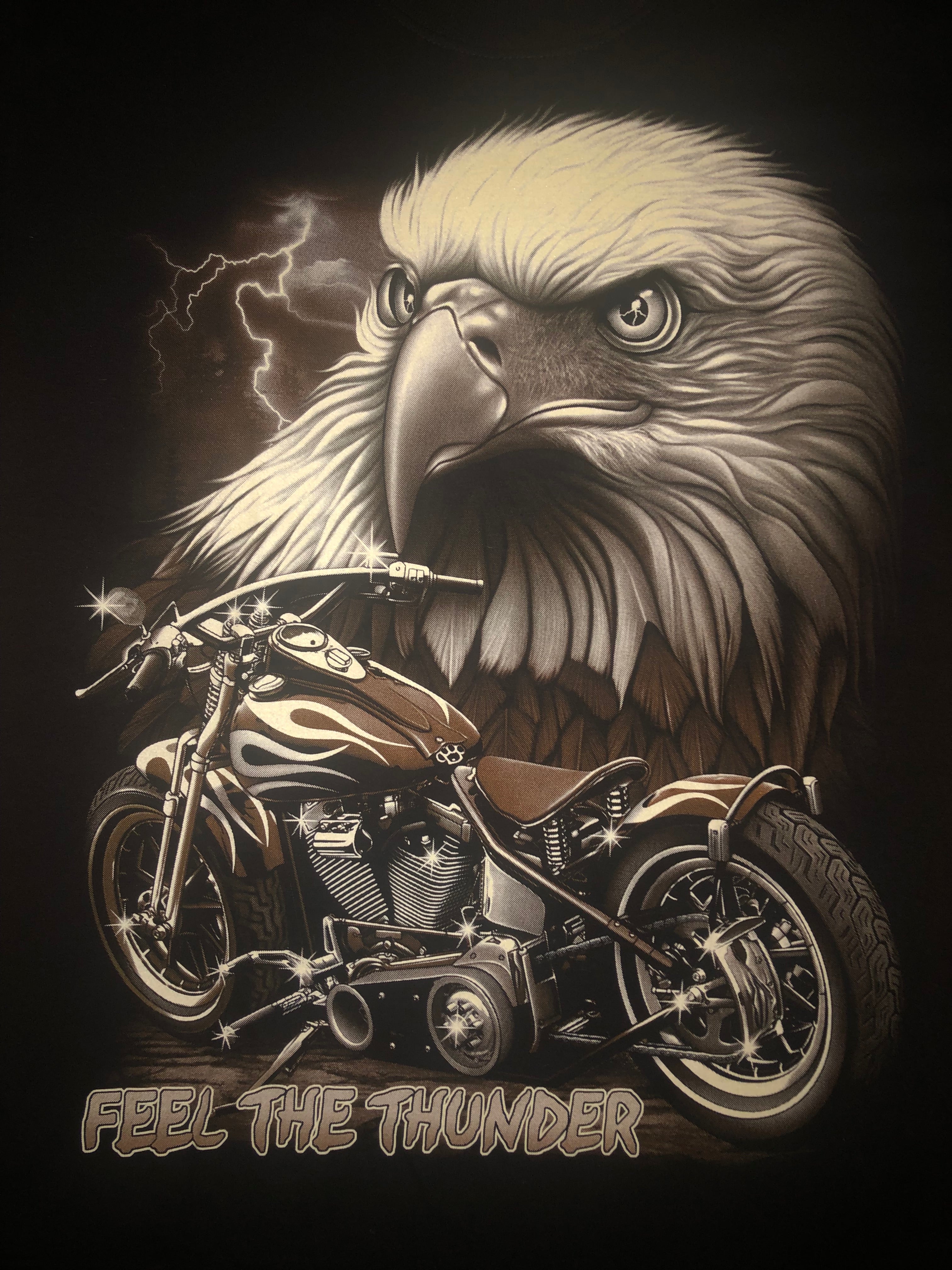 Eagle - Feel The Thunder - SK55 Secondary image