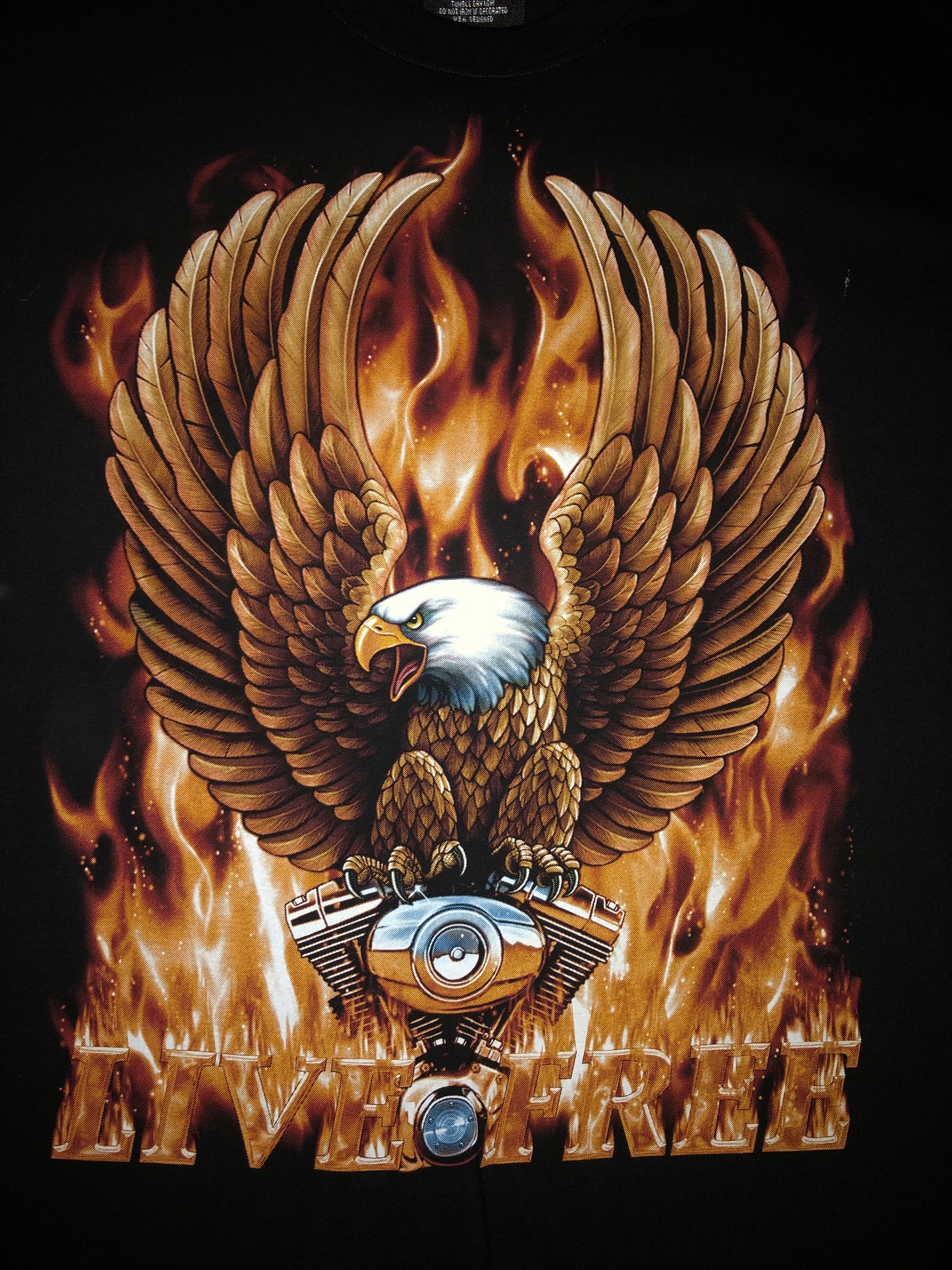 Eagle - Live Free - Flaming