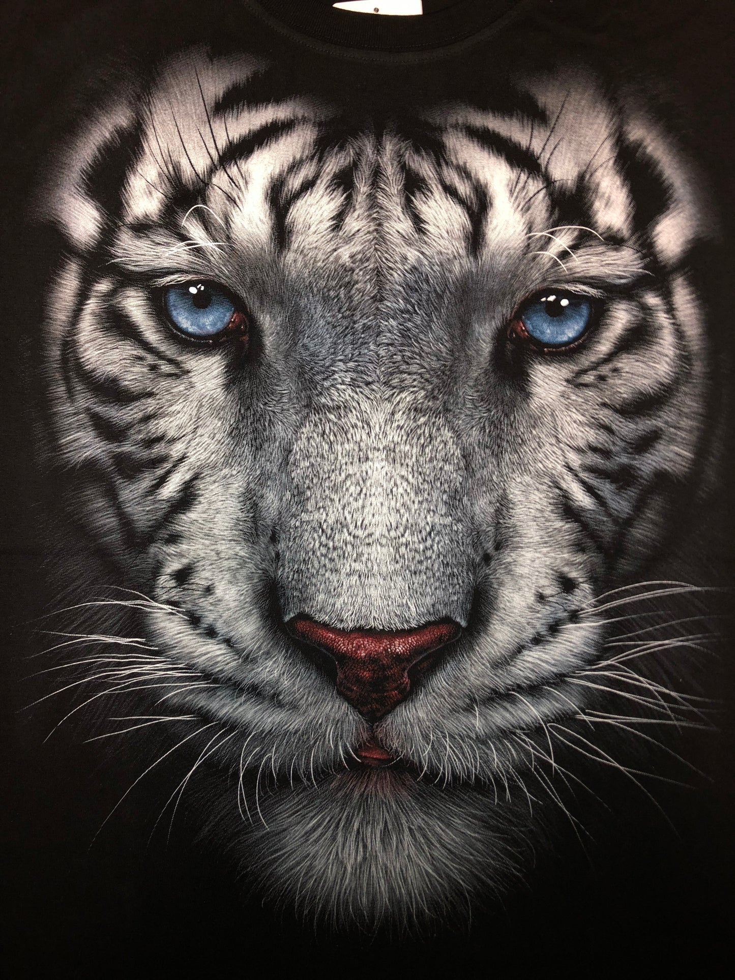 TIG01 - White Tiger