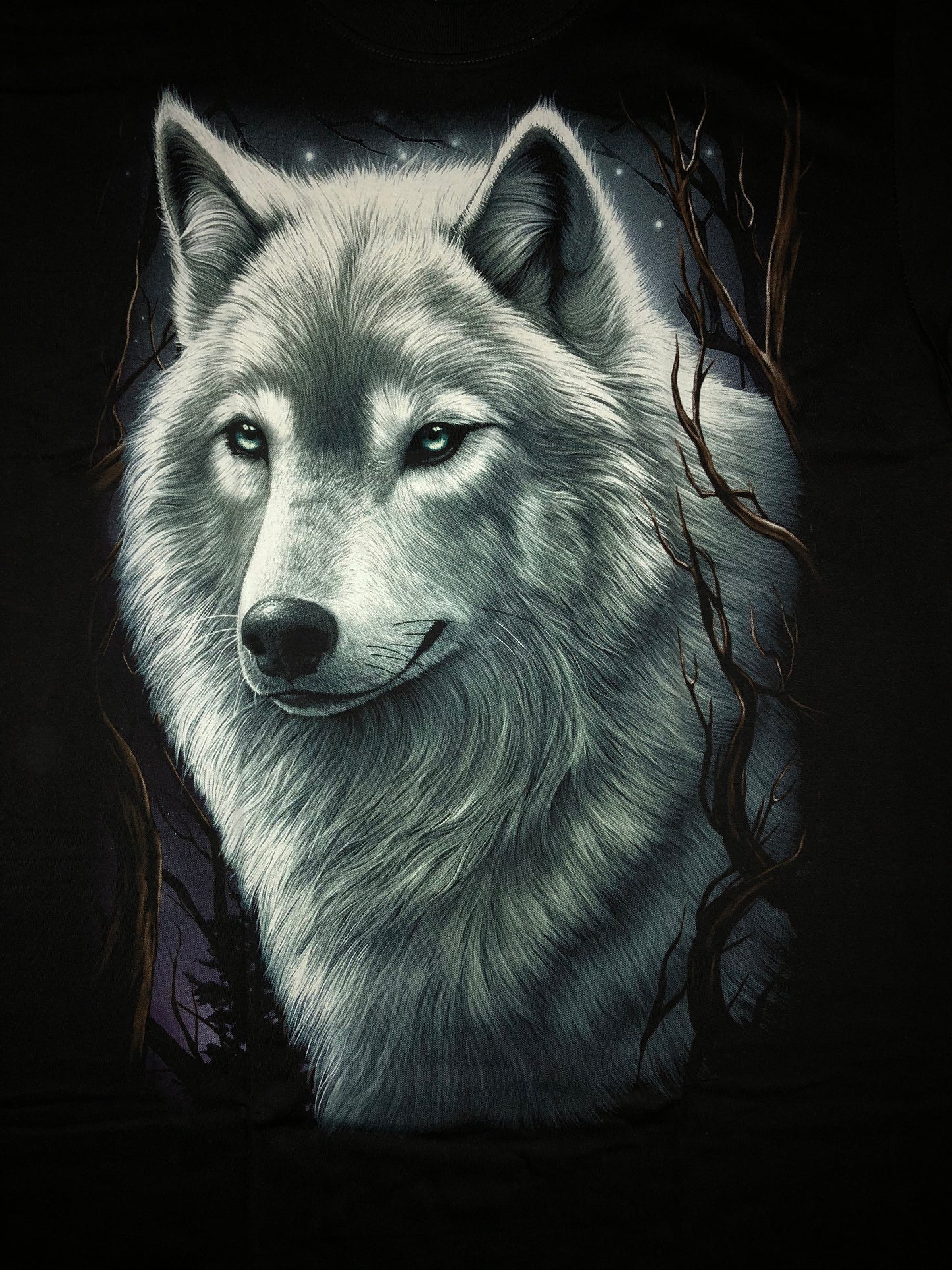 WO41 - Wolf - Blue Forest