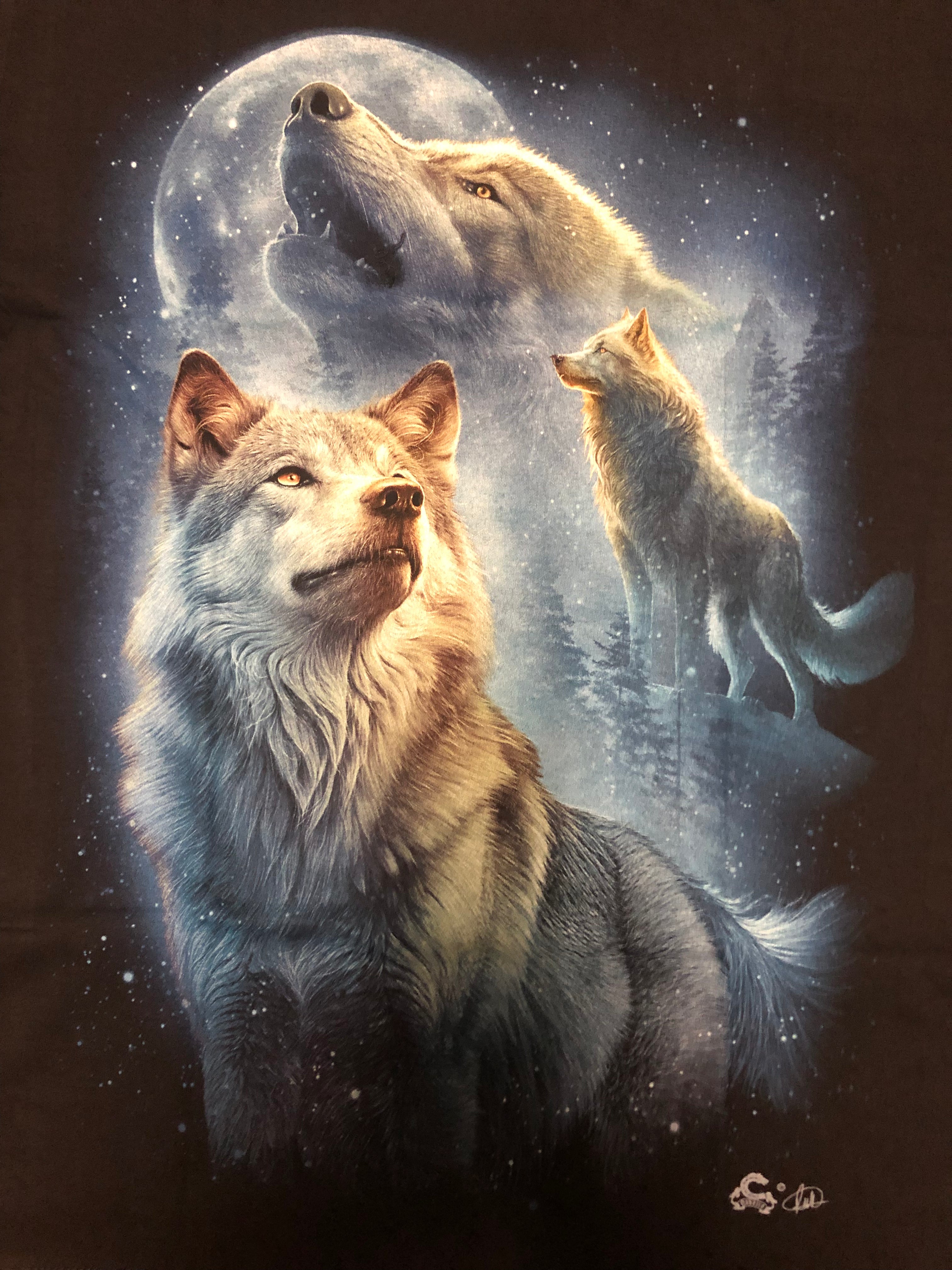 Wolf - Looking for Love Secondary image