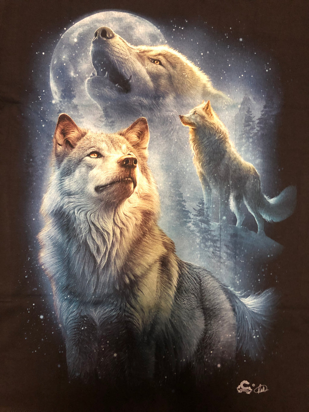 Wolf - Looking for Love