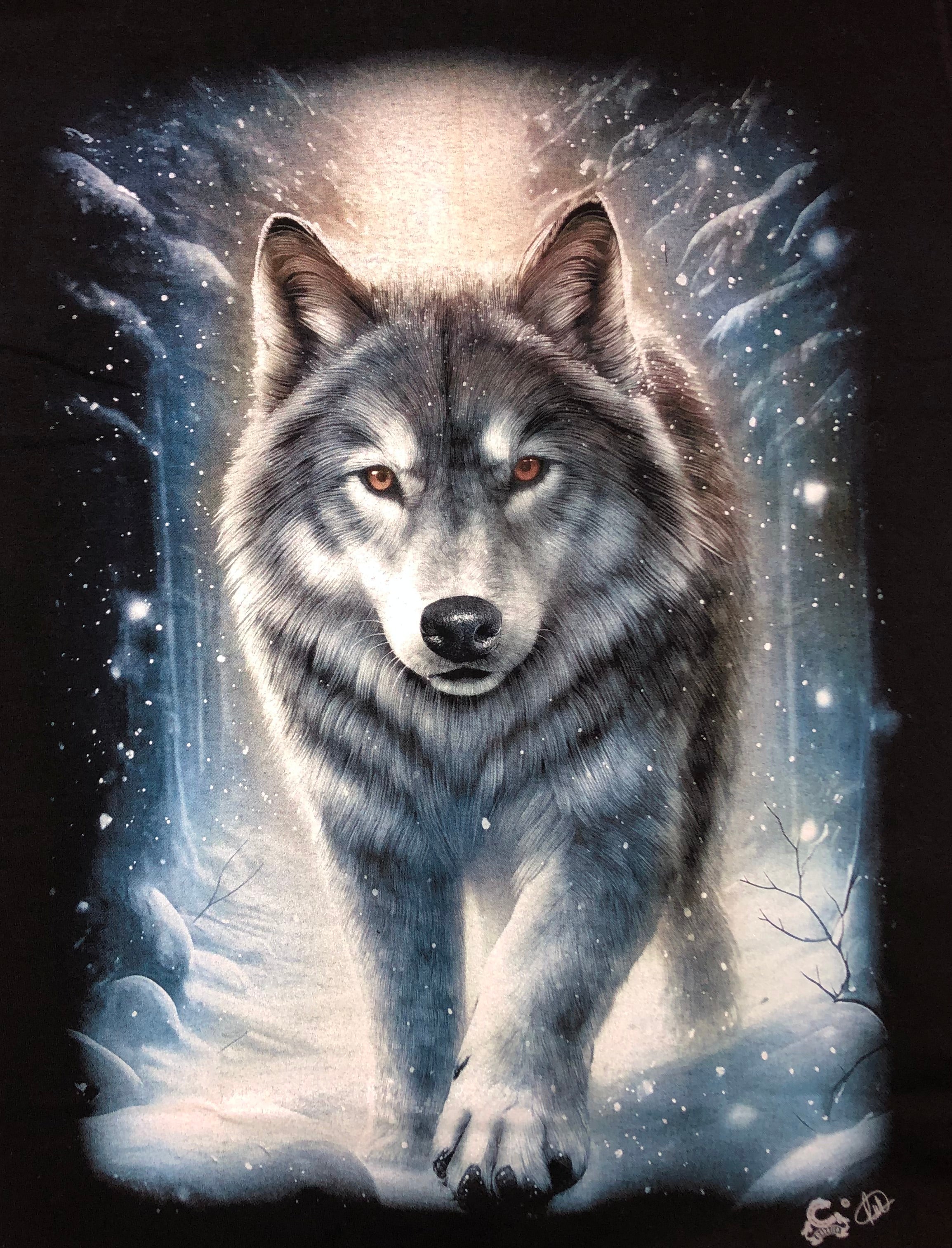 Wolf - Fireworks - WO05