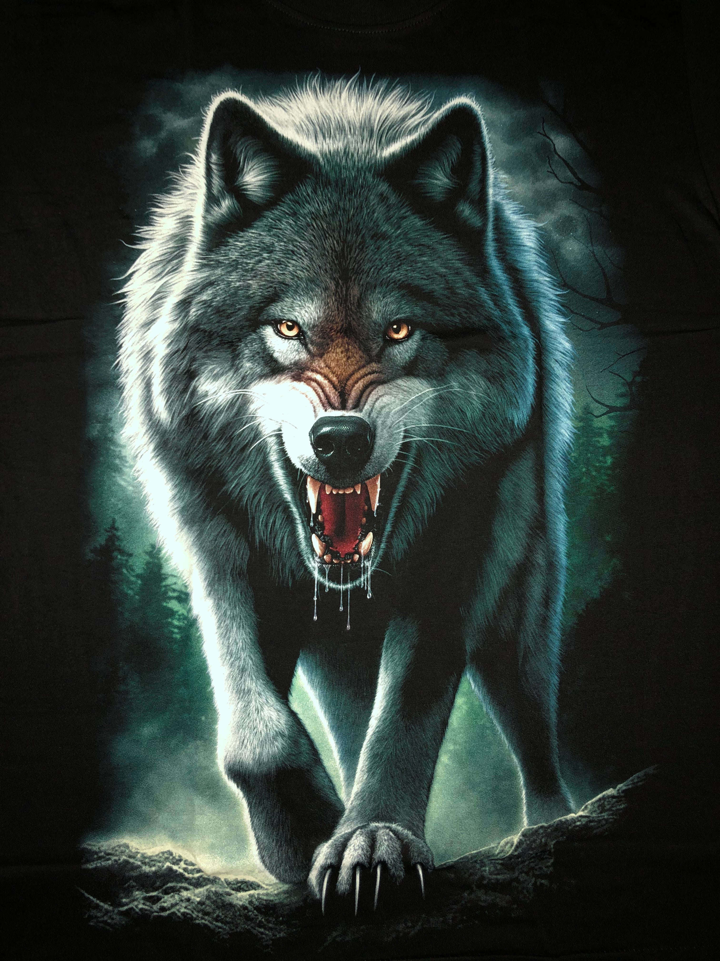 Wolf - Angry Secondary image