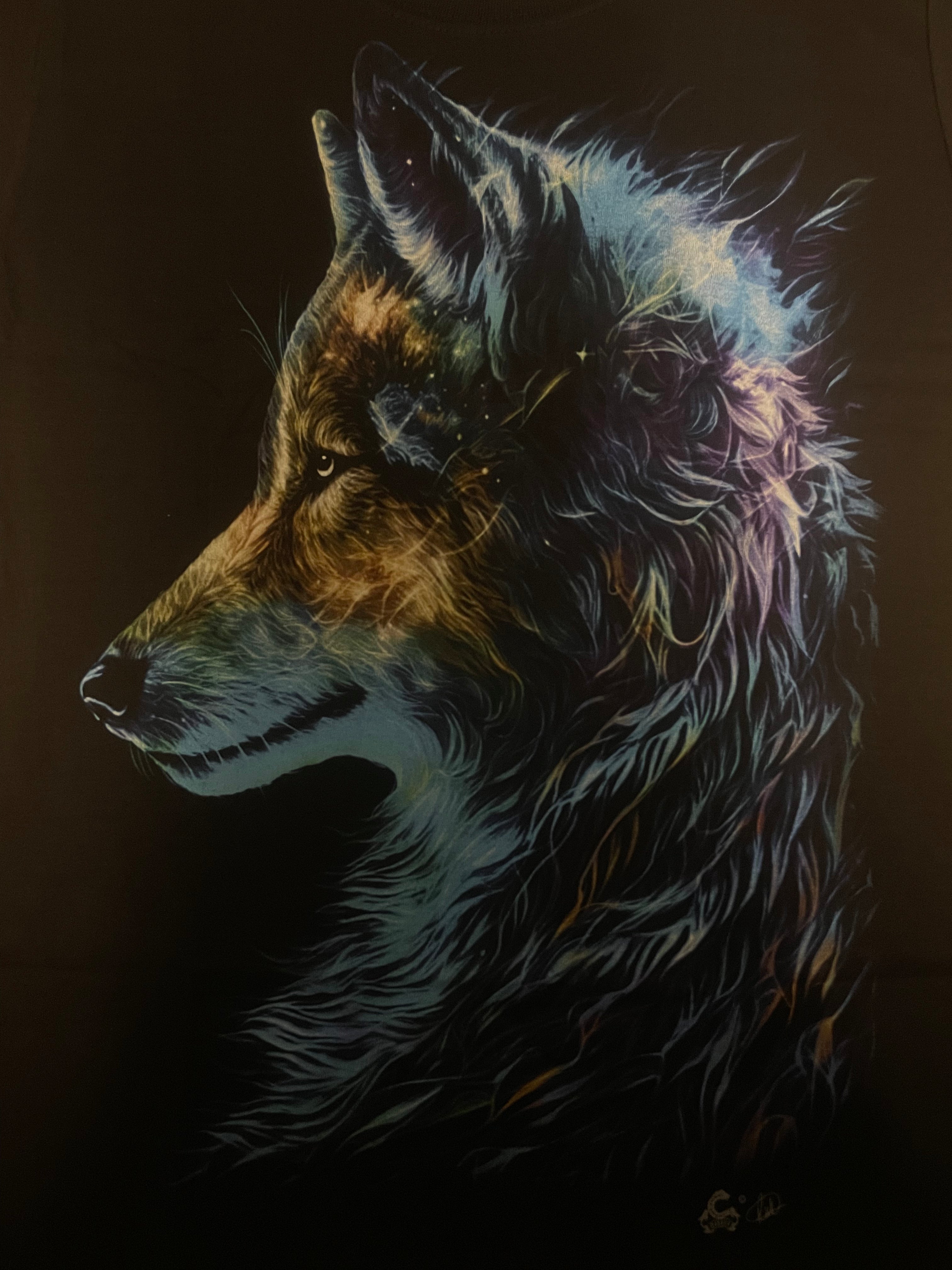 Wolf - Lazer - WO24 Secondary image