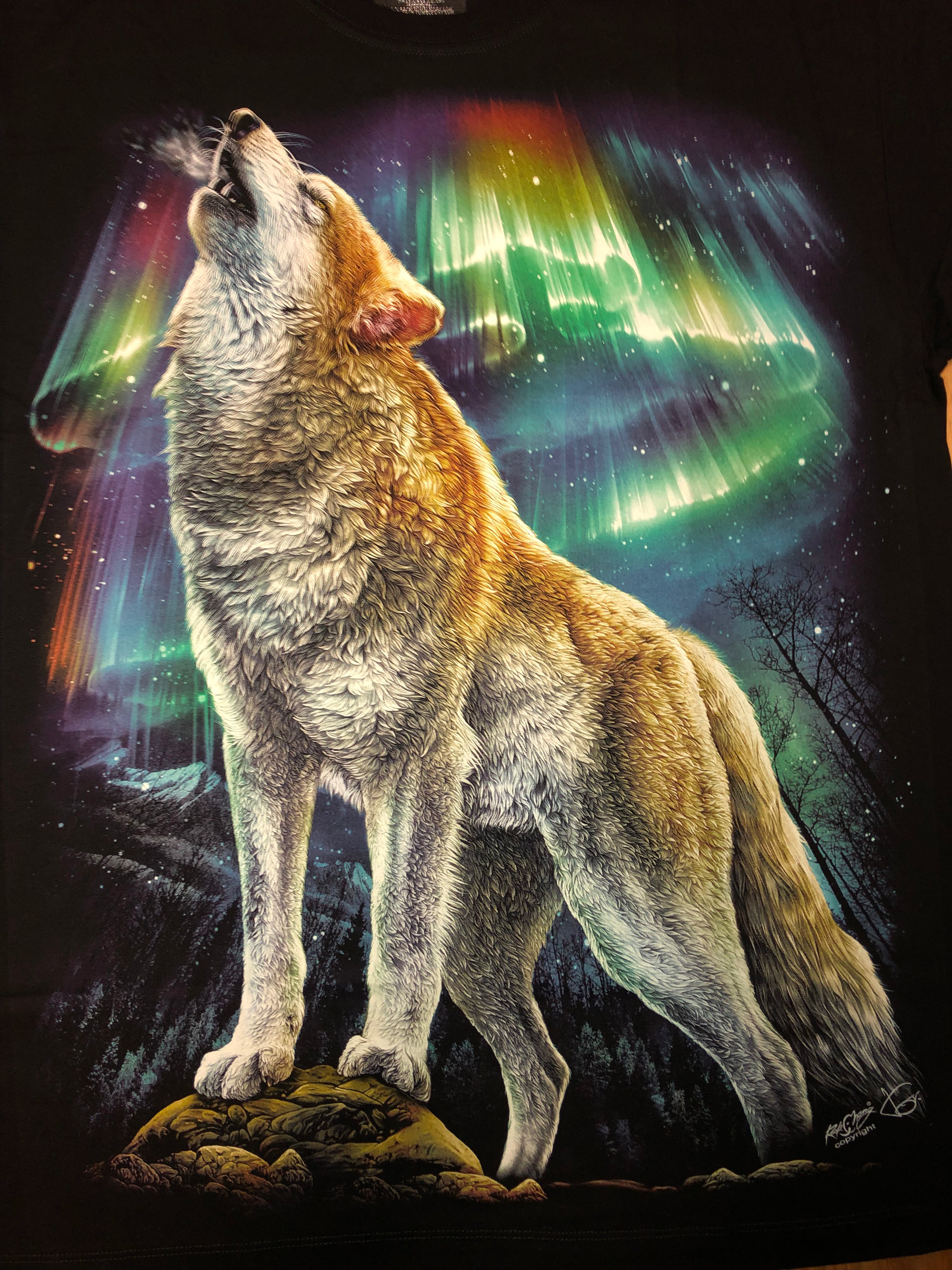 Wolf - Northern Lights Secondary image