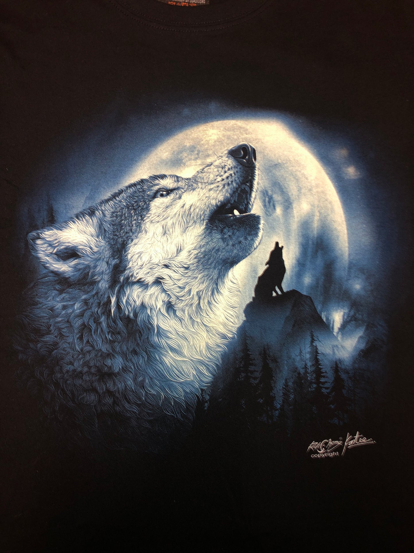 WO46 - Wolf - Small Face