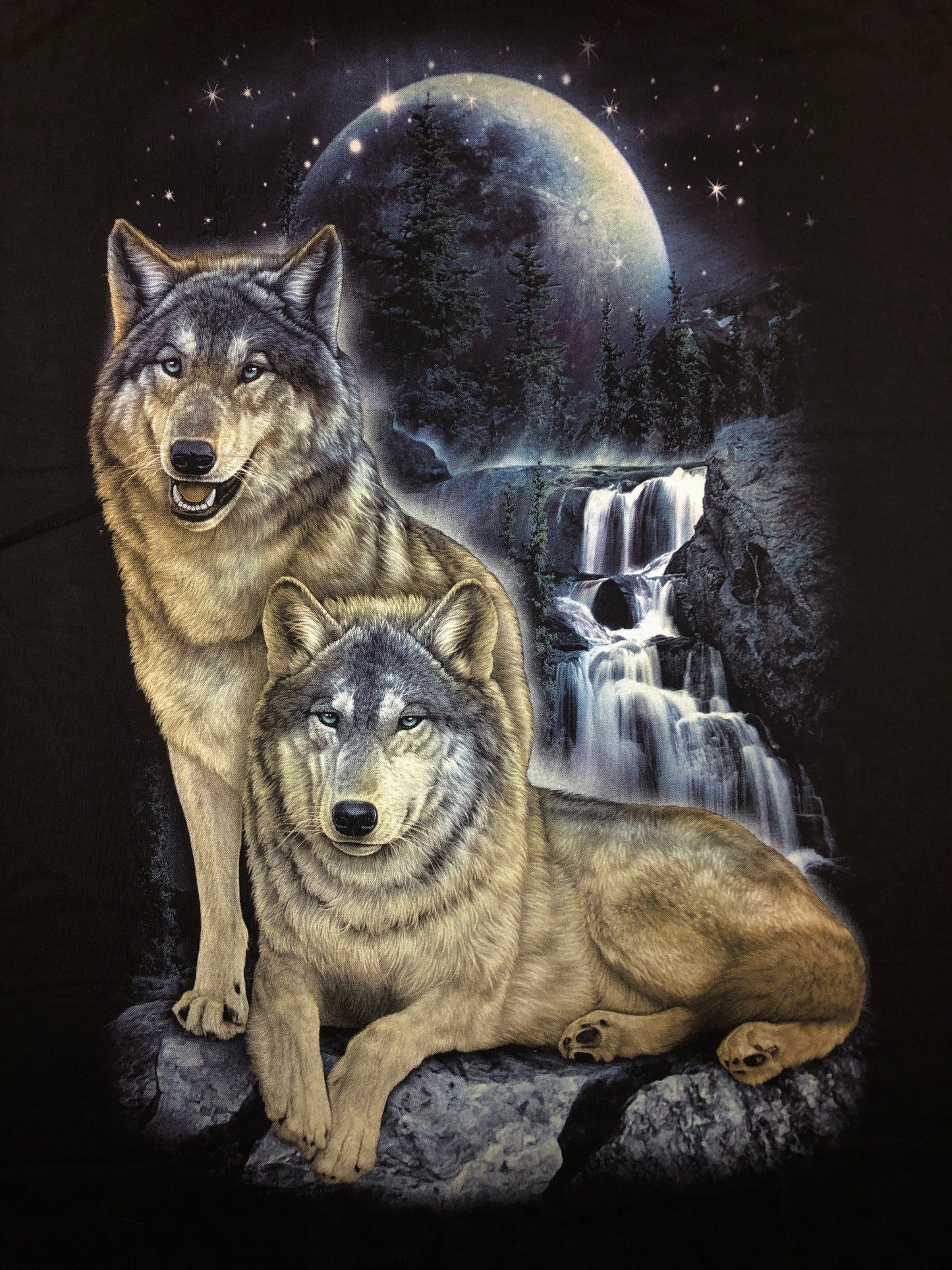 Wolf - Waterfall - WO50