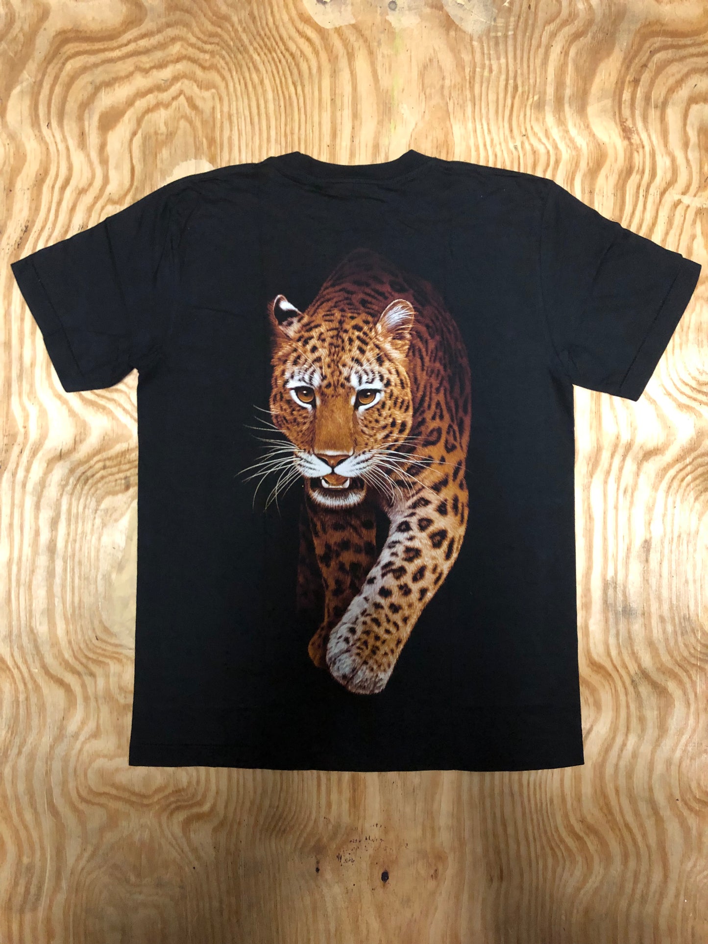 LEO01 - Leopard - Walking